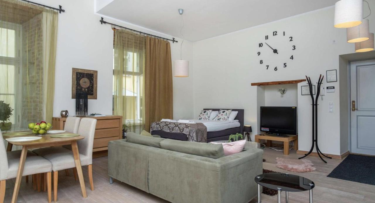 Spacious Studio Apartment In The Heart Of Old Town Tallinn Luaran gambar